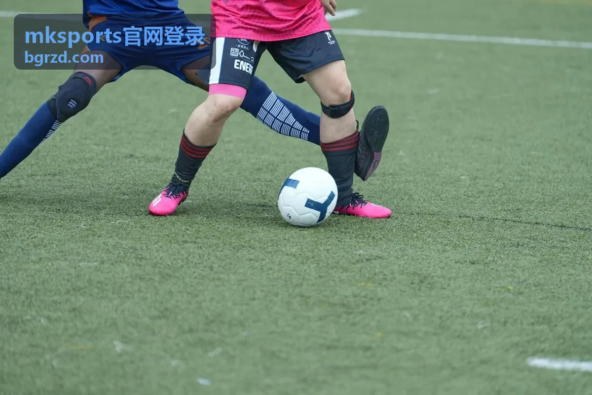 mksports官网登录 信息填写类问题示意